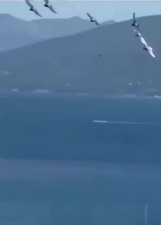 Уничтожение украинских БЭК в акватории Новороссийска