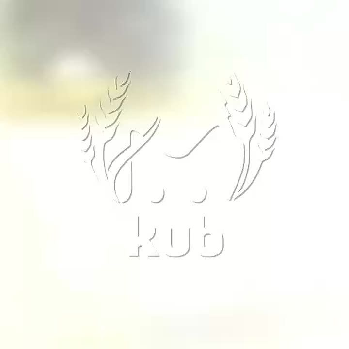 Двое пострадали во время атаки БПЛА в Туапсе