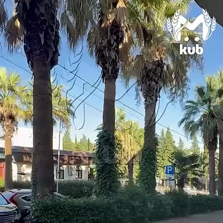 Сирены завыли в Сочи. Мэр сообщил об угрозе применения безэкипажных катеров