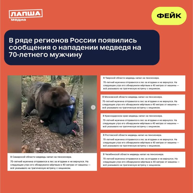 В Сети появились кадры нападения медведя на 70-летнего мужчину, который отправился в лес за грибами