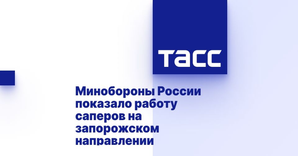 Минобороны России показало работу саперов на запорожском направлении