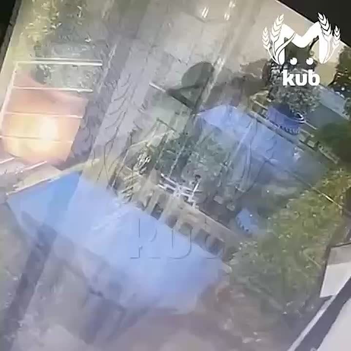 Медвежонок слоняется по Красной Поляне