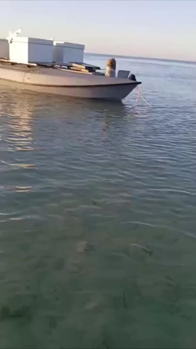 Владислав Шурыгин: На побережье Краснодарского края нашли один из украинских безэкипажных катеров, недавно атаковавших Новороссийск и Туапсе