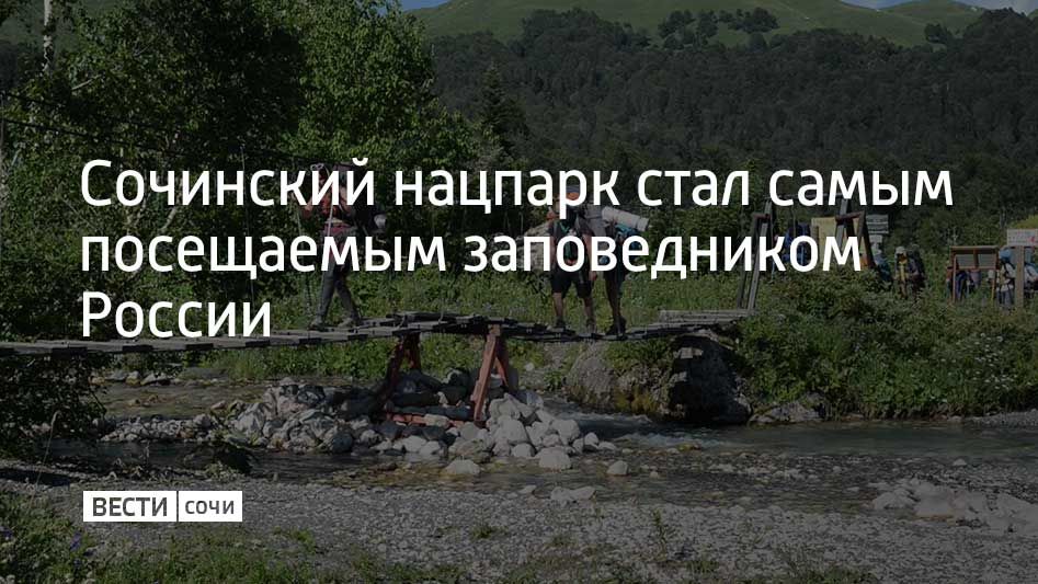 Летом 2025 года Сочинский национальный парк стал самым посещаемым заповедником России