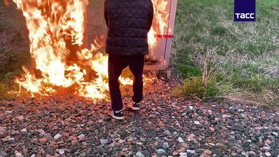 Сотрудники ФСБ задержали по подозрению в госизмене 18-летнего жителя Мордовии