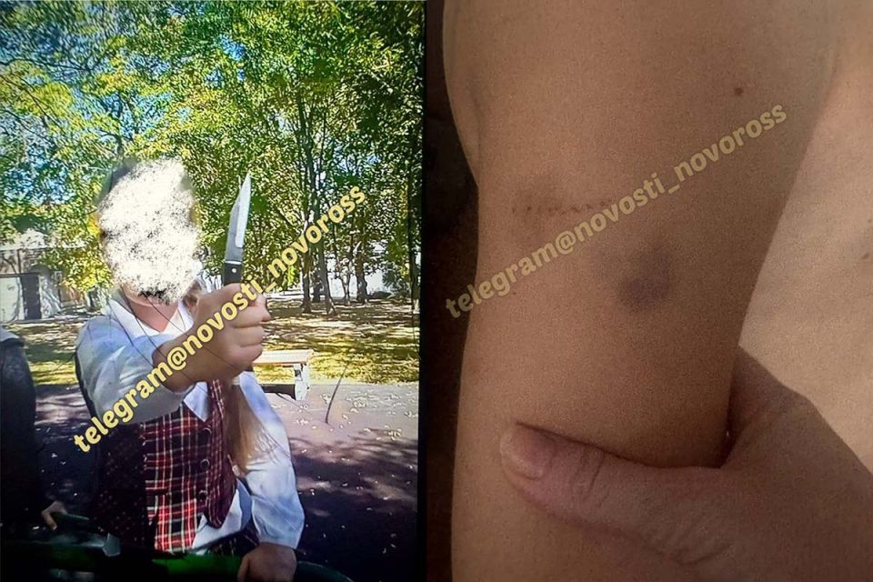 «Она каталась на карусели и показывала, что у неё есть нож»
