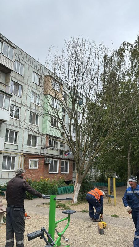 Рубрика «Ейск сегодня. Дела житейские»