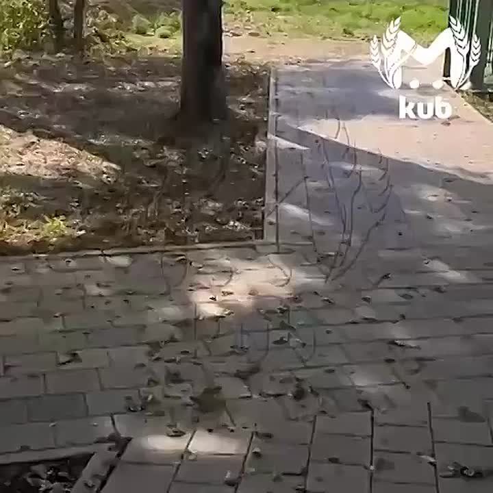 Уголовное дело возбудили по факту падения мальчика в яму в Апшеронске, где он провёл ночь