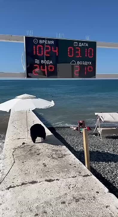 В Сочи продолжается купальный сезон