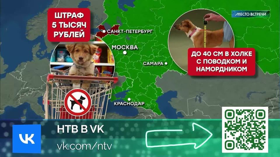 В Госдуме предлагают полностью запретить посещение общественных мест с собаками и другими домашними животными