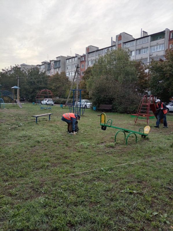 Рубрика «Ейск сегодня. Дела житейские»