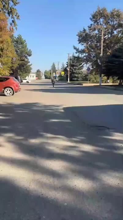 Юный лихач ездит на заднем колесе питбайка и мешает автомобилистам в Старокорсунской