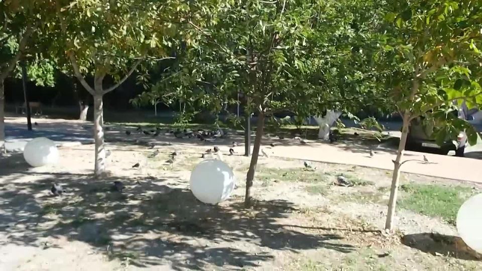Ирину Михайловну Терез в Новороссийске знают многие