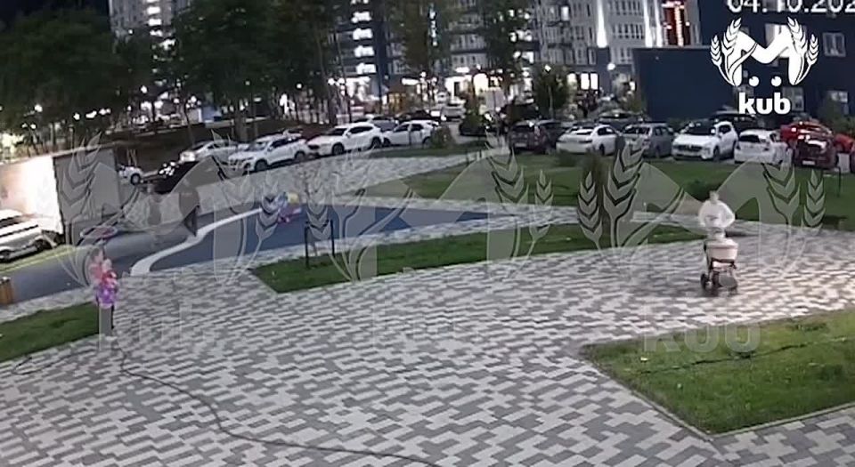 Бродячая собака укусила девочку в Краснодаре