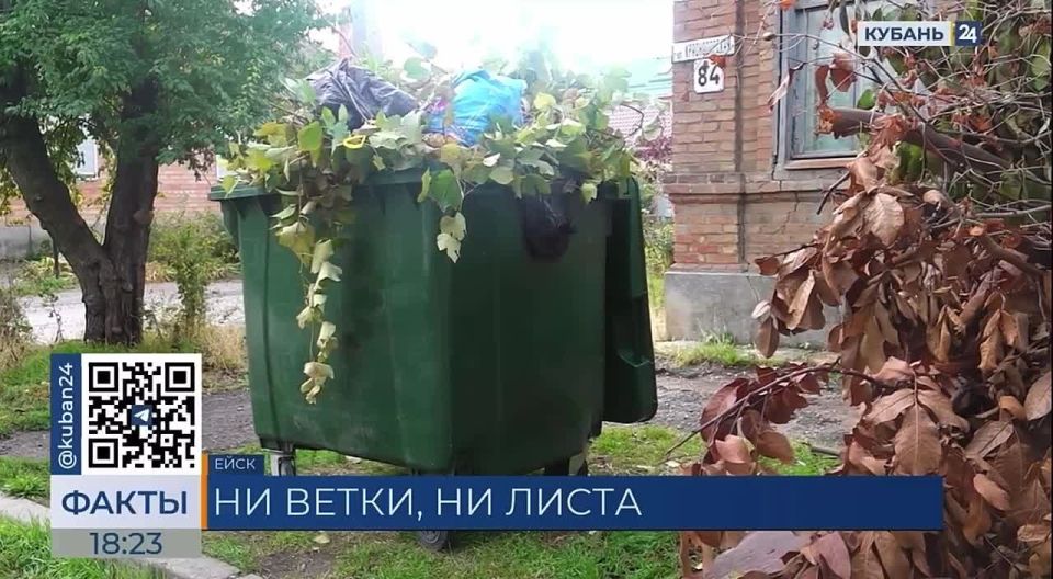 Ни листа, ни ветки!. На контейнерных площадках и в мусорные баки запрещено складывать растительные остатки