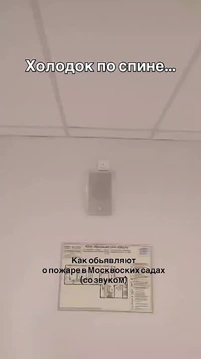 В одном из детских садов Москвы решили заменить стандартную пожарную сирену на песню «Тили-бом, тили-бом, загорелся кошкин дом», чтобы не пугать малышей