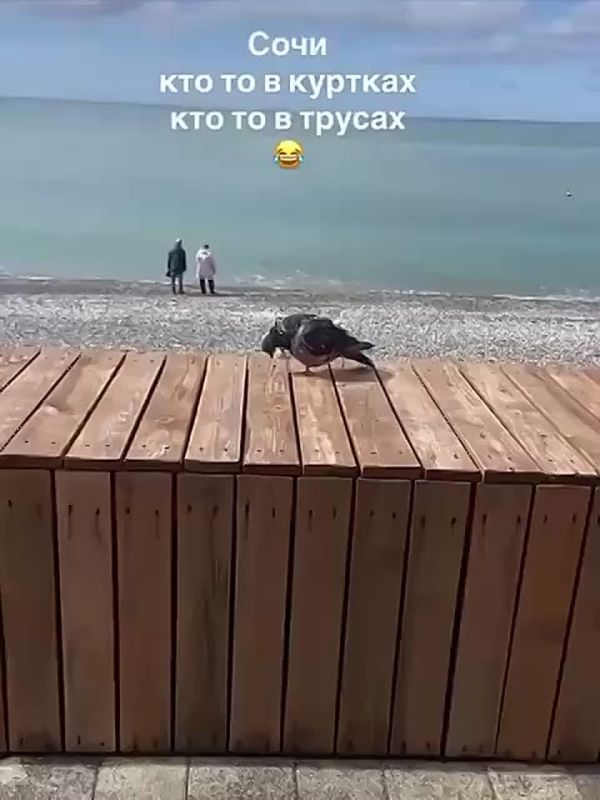 Сочи в октябре - это как?. Кажется, сегодня был последний тёплый осенний день