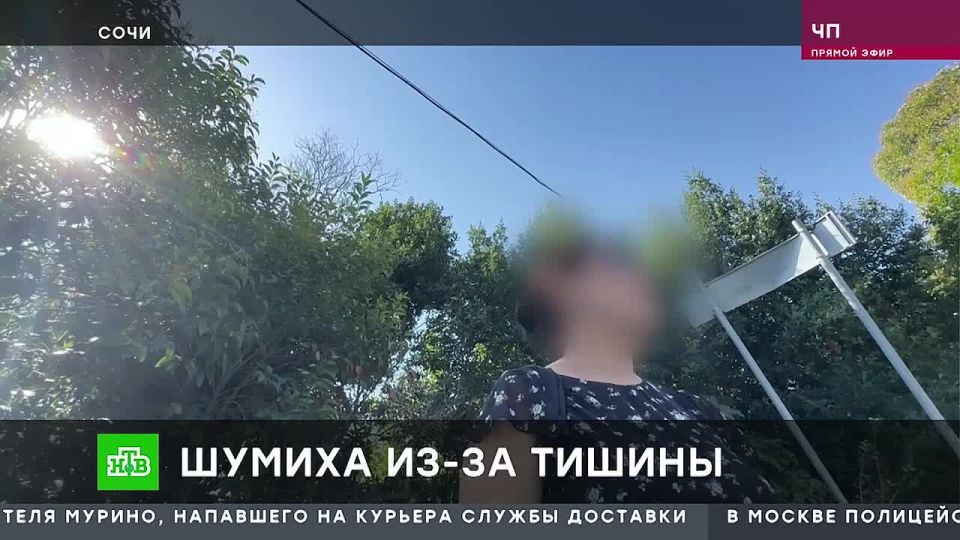 Кадры из курортного Сочи. Видео изучают следователи