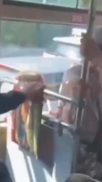 Мужчина сел на школьницу в автобусе из-за того, что та не уступила место