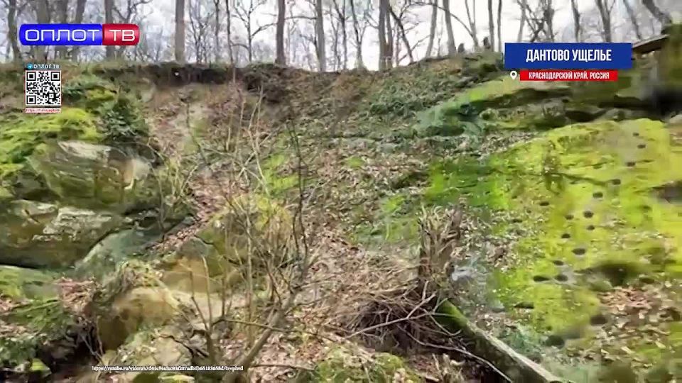  .           ,       37    