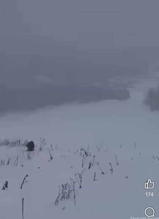 Косить снег заставили рабочих на Алтае