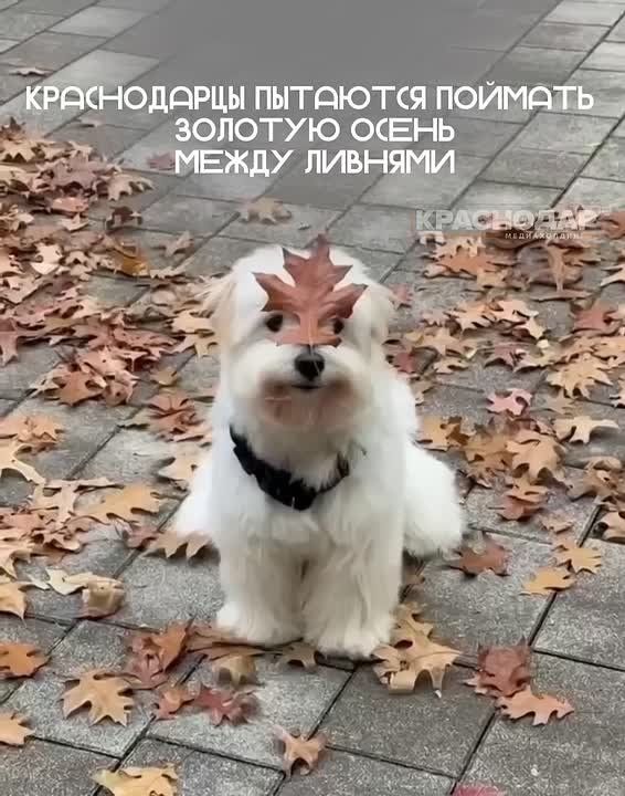 У вас получается?