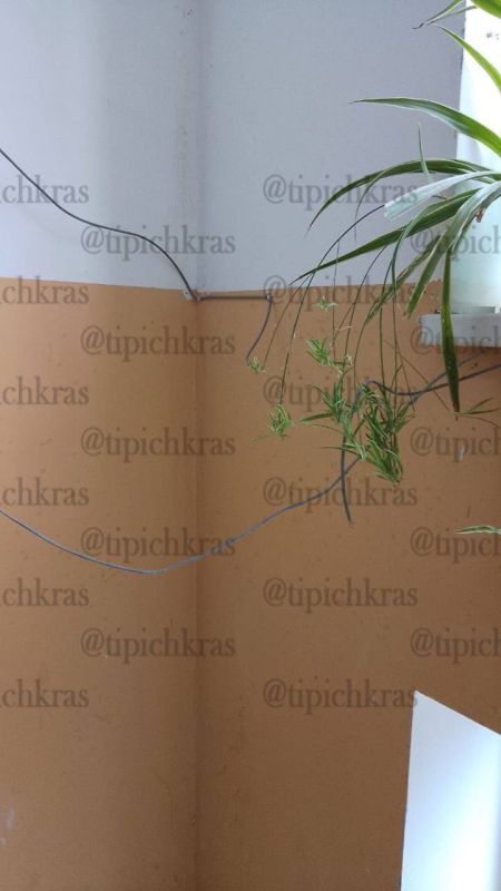 В Краснодаре в доме 270 по улице 1 Мая произошел странный случай: кто-то лишил подъезд связи с внешним миром, перерезав все провода