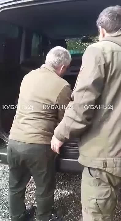 Детеныша косули, упавшего с опорной стены, убегая от собак, спасли в Сочи