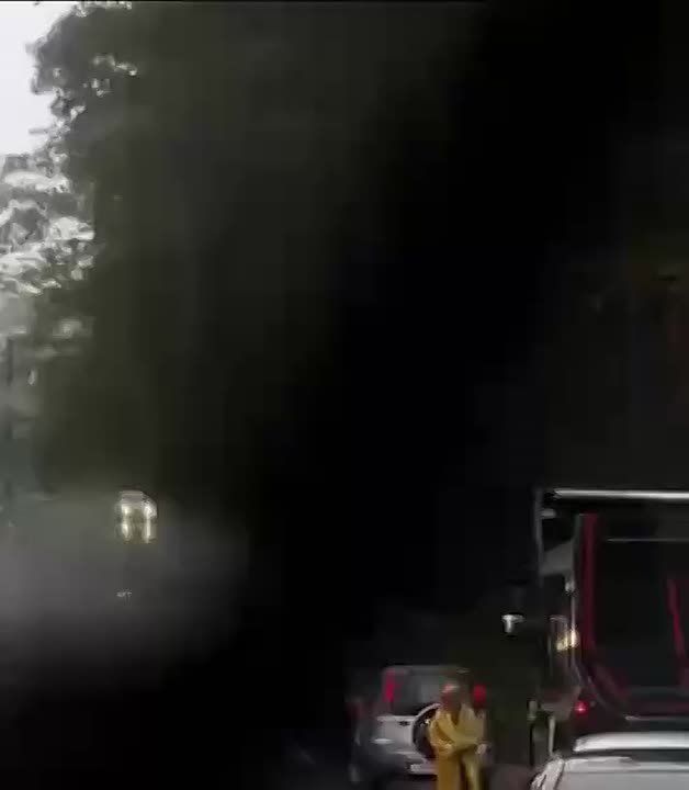 Упавшее дерево перегородило дорогу автомобилистам в Дагомысе, пишут в соцсетях
