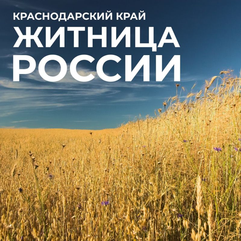 Агропромышленный комплекс — одна из ключевых отраслей экономики Кубани