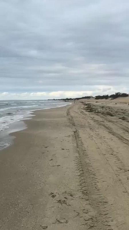 Закалённый мужчина устроил голый заплыв