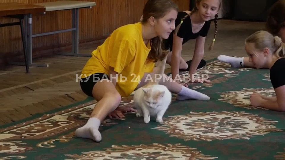 Арнольд, тянем ножку лапку