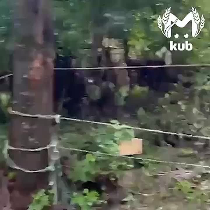 Жители Туапсинского района будут добираться домой по воздуху