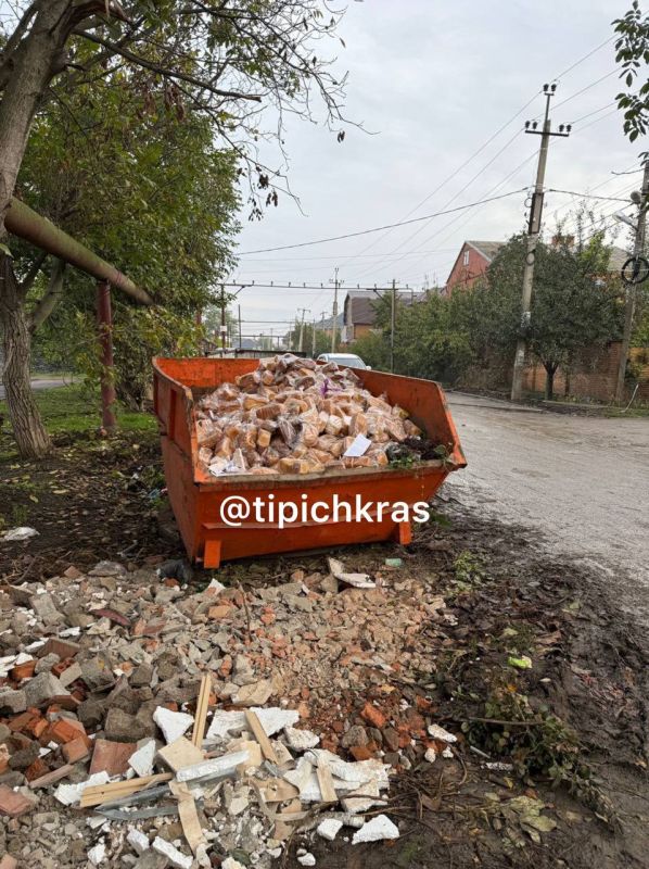 Гора хлеба в мусорном контейнере возмутила краснодарцев