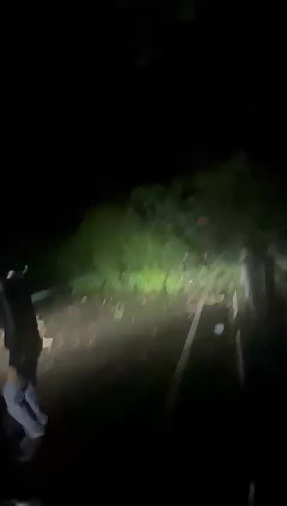 «Лада» против упавшего дерева: необычное «перетягивание каната» прошло ночью под Туапсе