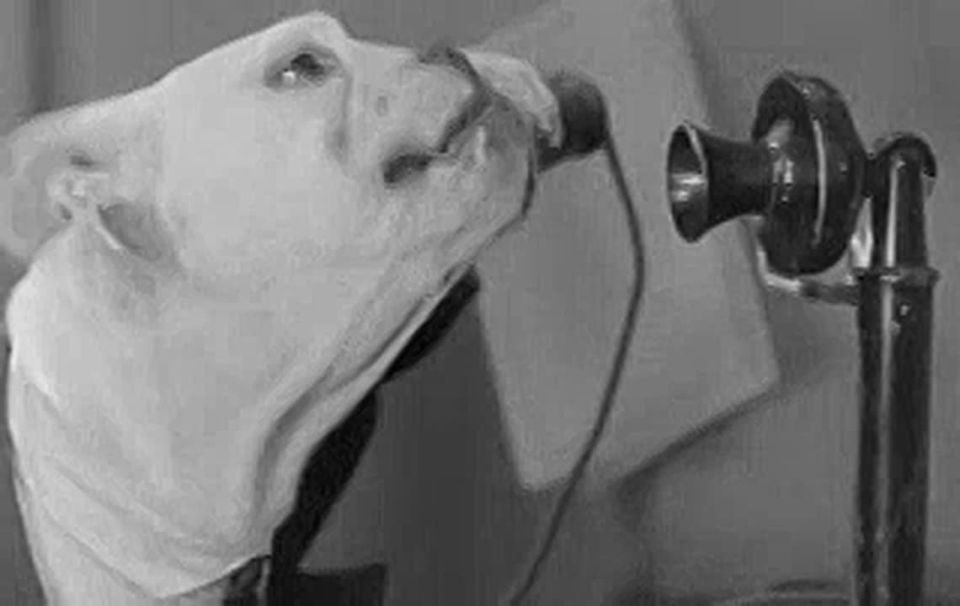 - "Алло!? Да , это ее папа!" Студентка отдала мошенникам  4,3 млн рублей, подтвердив в банке снятие денег звонком  псевдоотцу