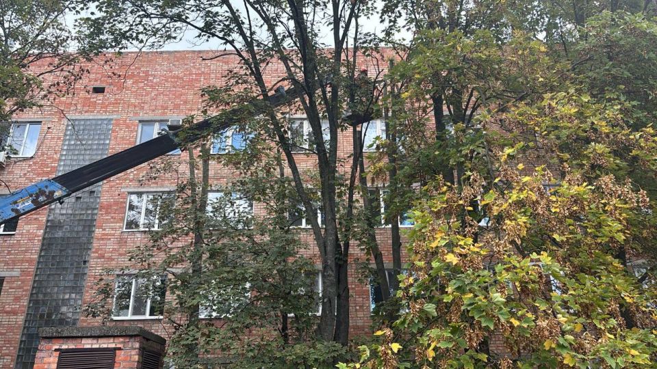 Рубрика «Ейск сегодня. Дела житейские»