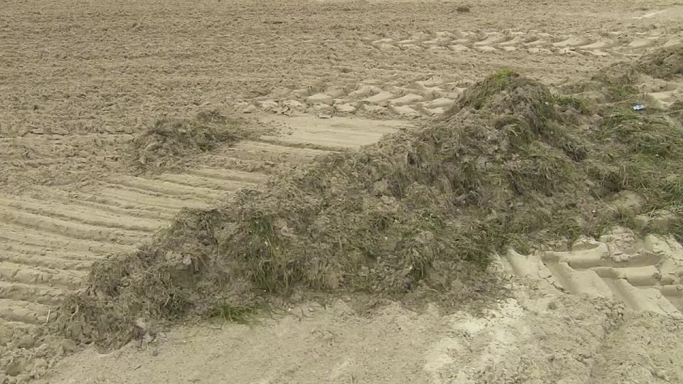 Механизированная очистка пляжей в Анапе приостановлена из-за погодных условий