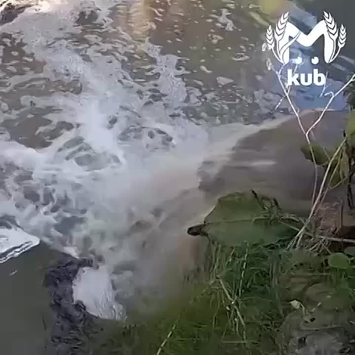 Жители Южной Озереевки пожаловались на грязные стоки, а получили ответ про свои психологические особенности