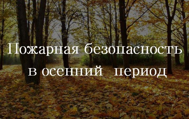 С начала 2025 года на территории Ейского района произошло 243 пожара, из них 178 пожаров, связанных с горением мусора и сухой растительности и 65 пожаров техногенного характера