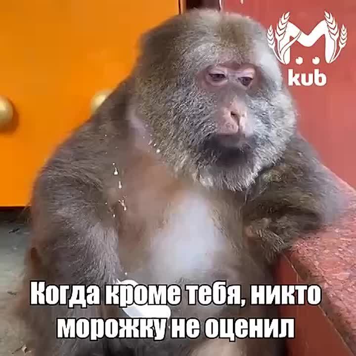 Мороженое "Коровка из Кореновки" продавали с осколками стекла