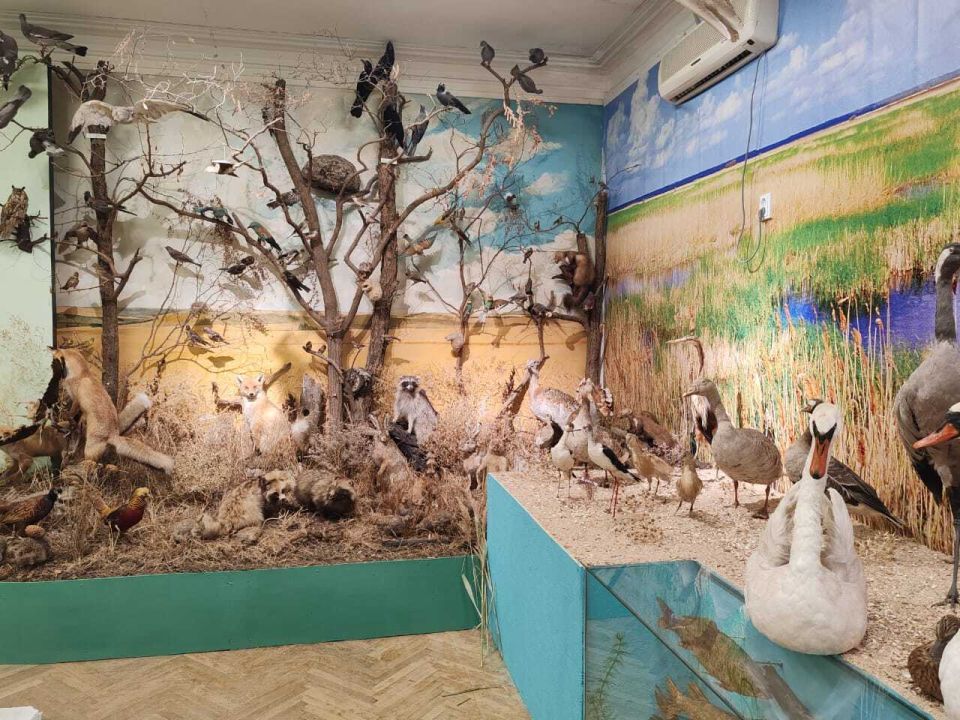 Ейский районный краеведческий музей в станице Ясенской вновь открывает двери