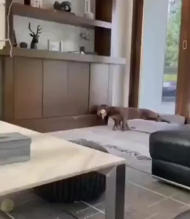 :. Don't worry, be happy!