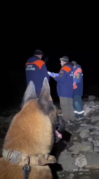 Пошла по грибы и заблудилась: 70 летняя пенсионерка целую ночь провела в лесу Сочи