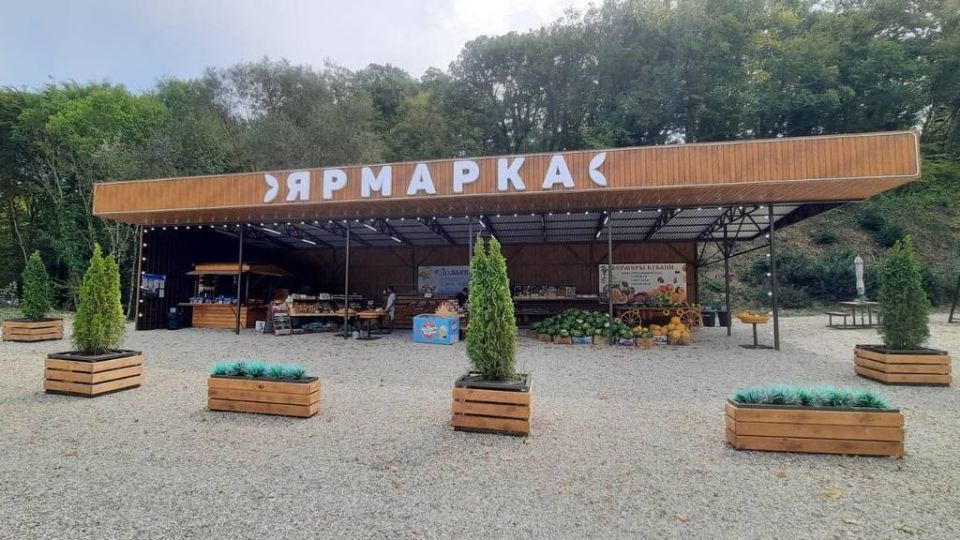 Оборот предприятий потребительской сферы Краснодарского края вырос на 10 процентов