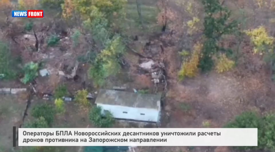 Операторы БПЛА Новороссийских десантников уничтожили расчеты дронов противника на Запорожском направлении