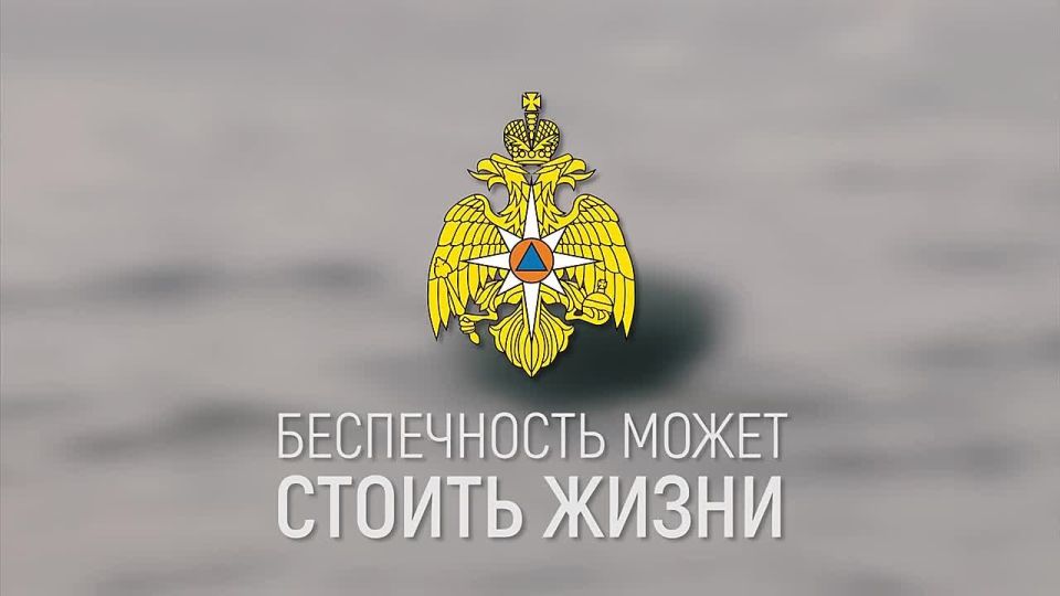 Осень на водоёмах: лови рыбу, а не беду!