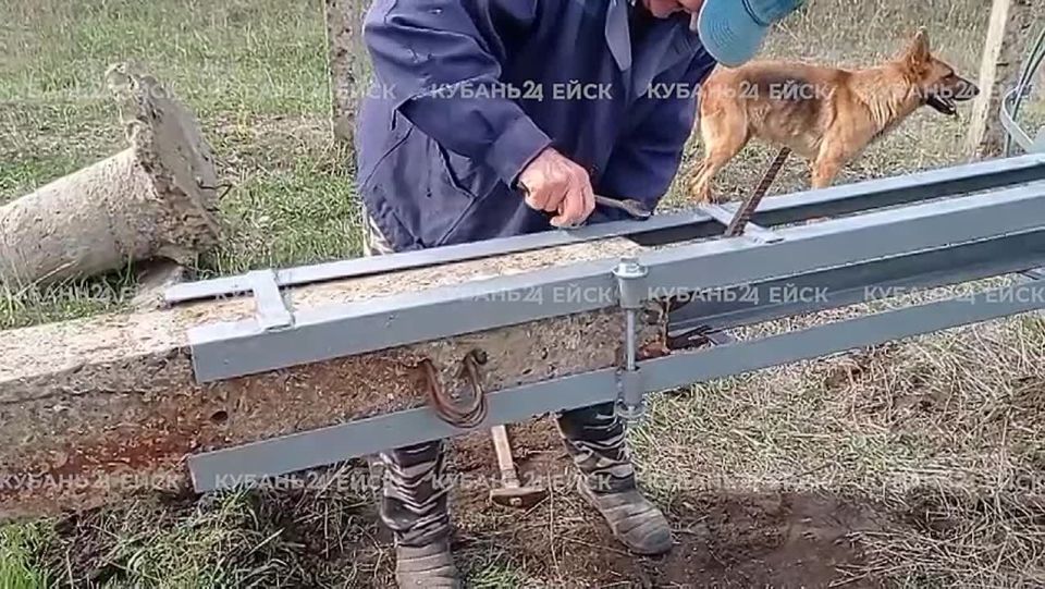 Ещё два металлических гнезда установили для аистов!