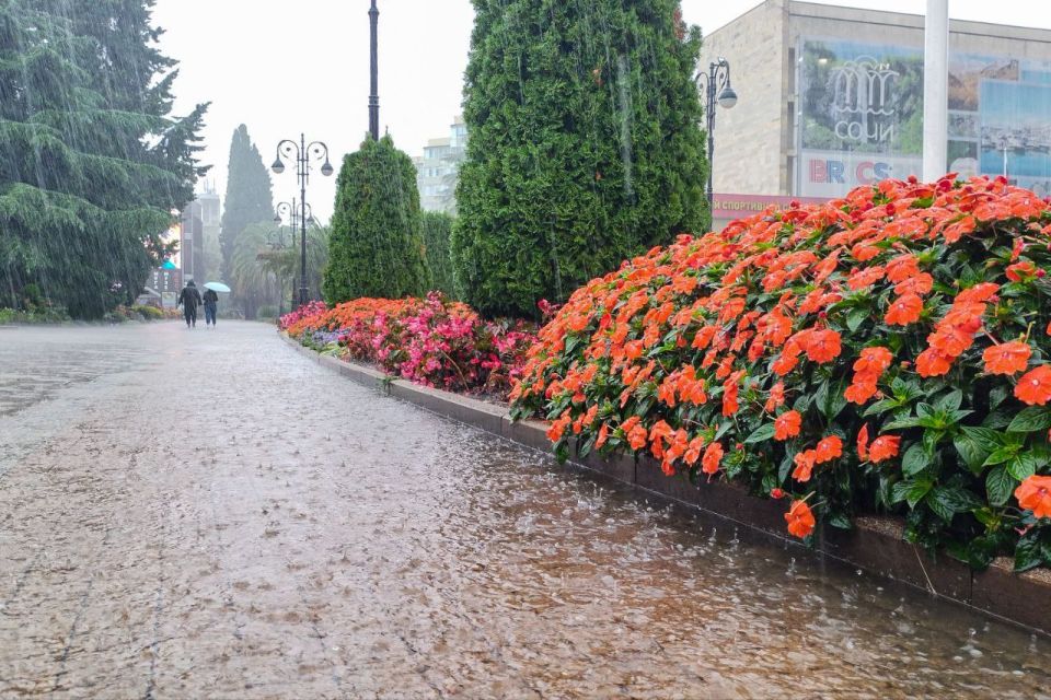 В Сочи ожидается сильный дождь с грозой
