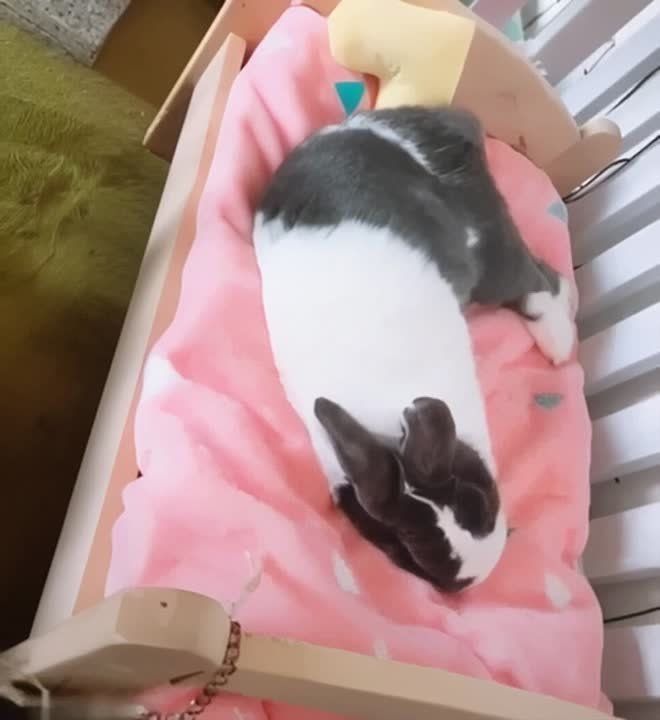 Укладываемся спать